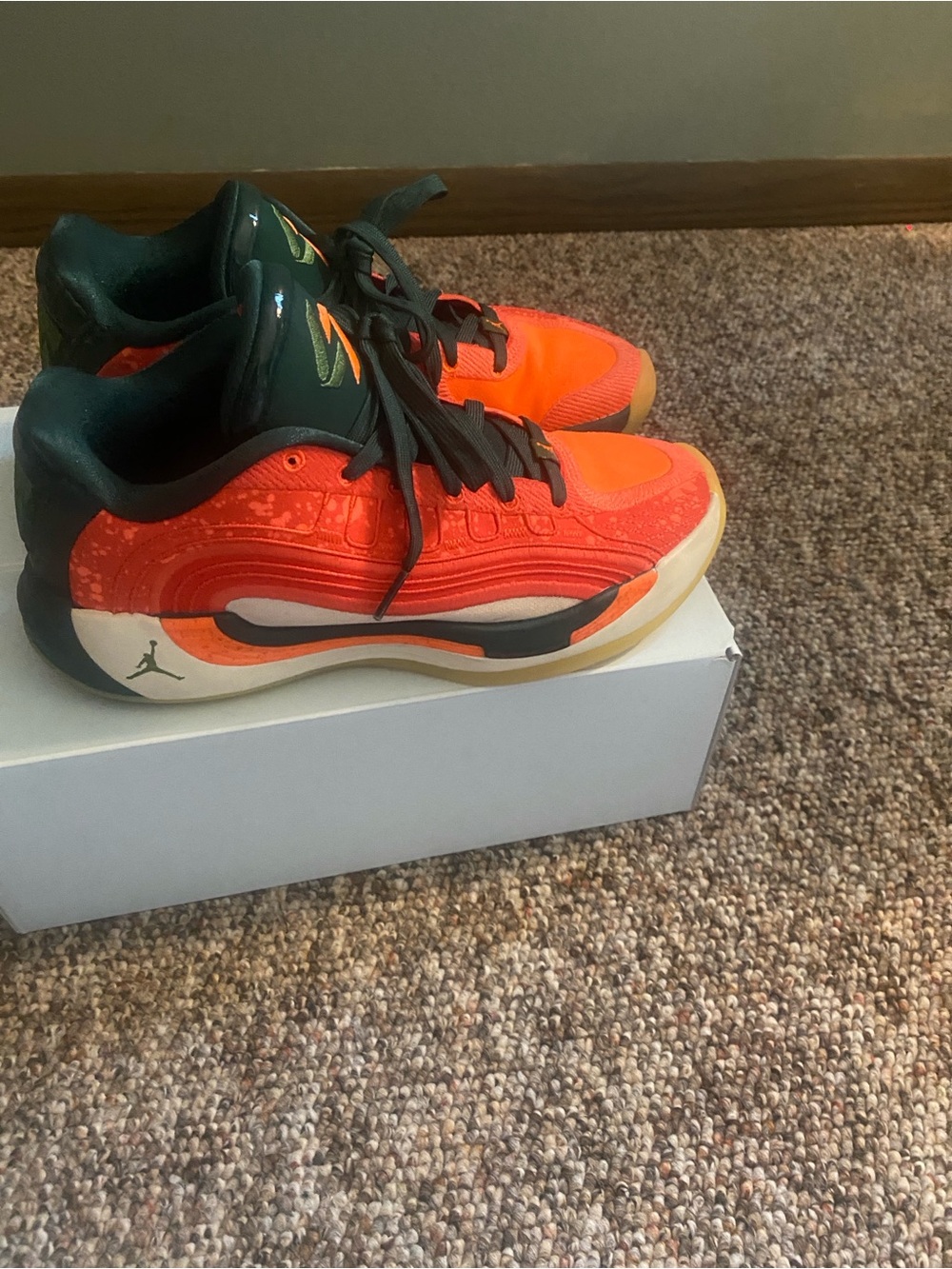 Jordan Luka 4 Gone